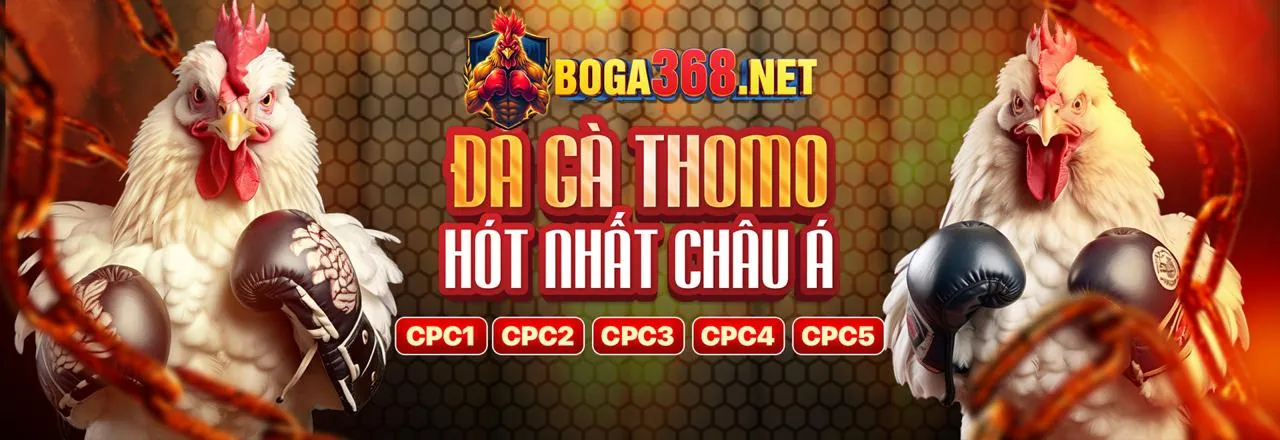 Các loại hình đá gà cựa sắt, cựa dao, đá gà đòn