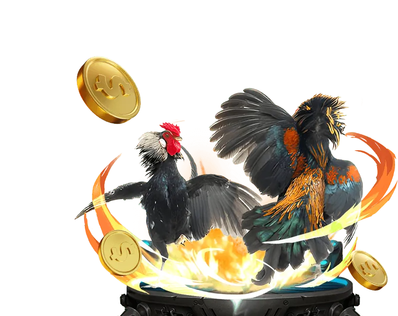 Hướng dẫn đăng ký tài khoản đá gà